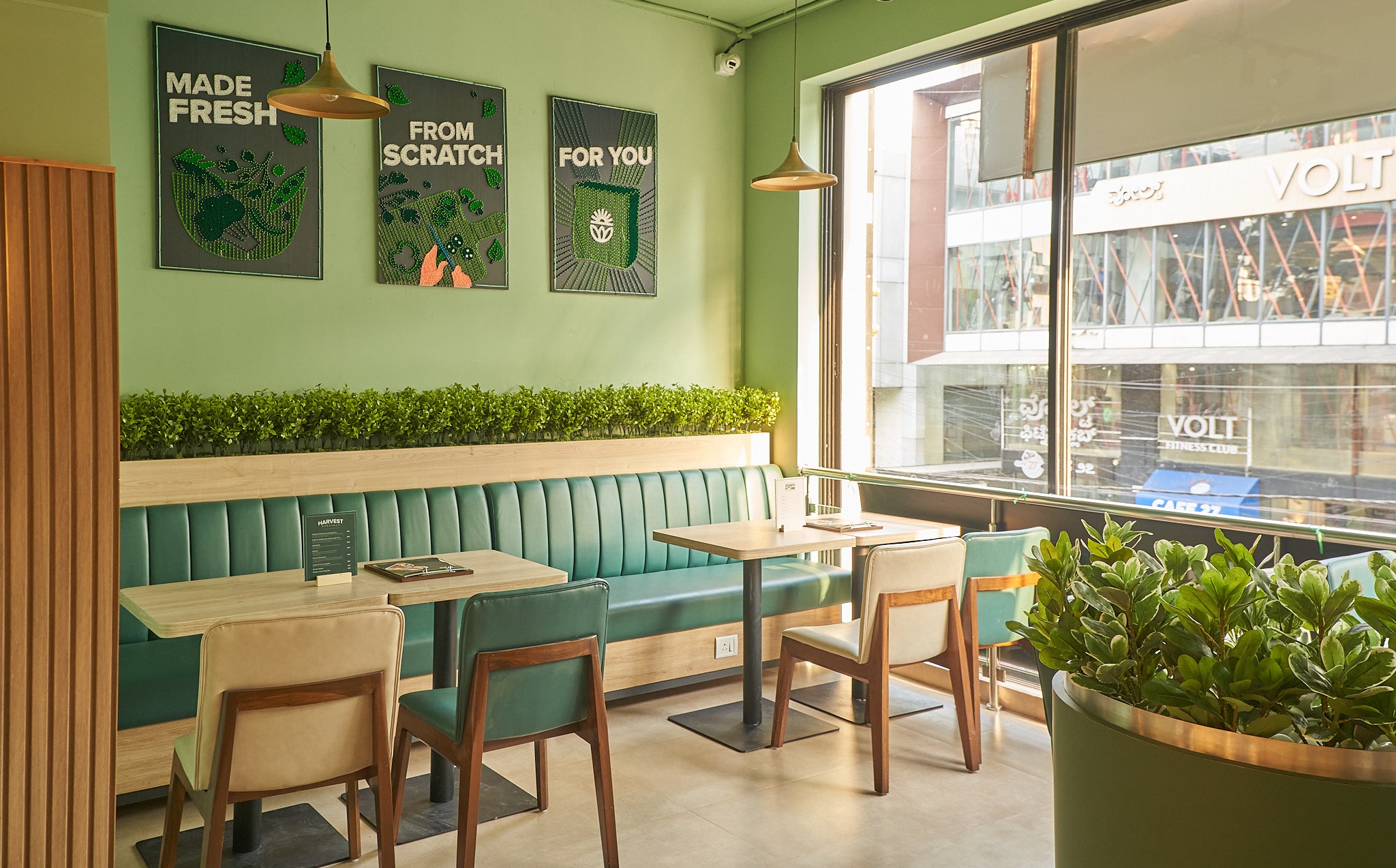 Harvest Salad & Co — Restaurant Fit-Out, Mumbai